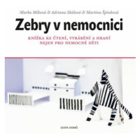 Zebry v nemocnici - Knížka ke čtení, vyrábění a hraní nejen pro nemocné děti - Martina Špinková,