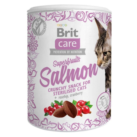 Brit Care Cat pamlsek Superfruits losos 6× 100 g