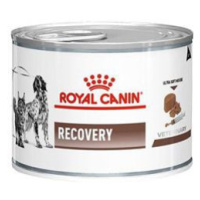 Royal Canin Veterinary Royal Canin VD Fel / Can Recovery 195g konz