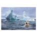 Fotografie Polar Bear Swimming near Sea Ice, Paul Souders, 40 × 26.7 cm