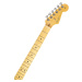 Fender American Professional II Stratocaster MN DK NIT