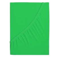 B.E.S. - Petrovice Prostěradlo JERSEY dětské - 60 × 120 cm, Jarní zelená