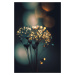 Umělecká fotografie Glowing Dots, Treechild, (26.7 x 40 cm)