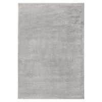 Světle šedý koberec 200x290 cm – Flair Rugs