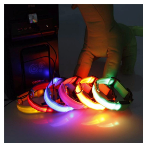 Reedog USB svíticí obojek pro psy a kočky NEW - zelená  35 - 43 cm