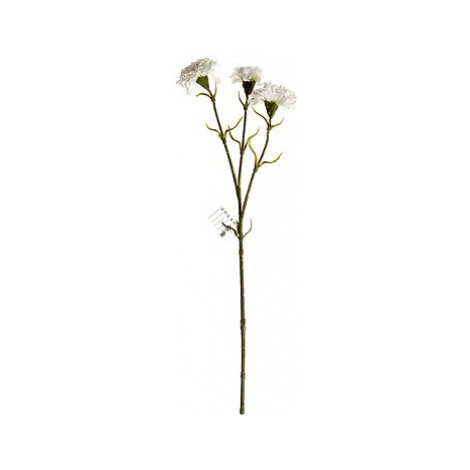 EverGreen Karafiát x 3, výška 60 cm, barva bílá