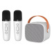 Bezdrátový Mikrofon Karaoke Bluetooth Reproduktor 2 Mikrofon Sada Bílá