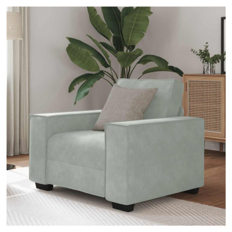 vidaXL Křeslo světle šedé 60 cm samet