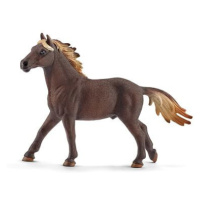 Schleich Zvířátko - hřebec Mustang