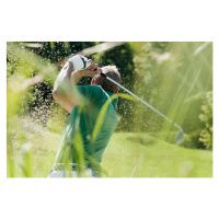 Fotografie Golf player, rear view, Westend61, (40 x 26.7 cm)