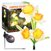 FLD-24 | Solární zahradní lampa Narcissus Daffodil | 67 cm, 600 mAh