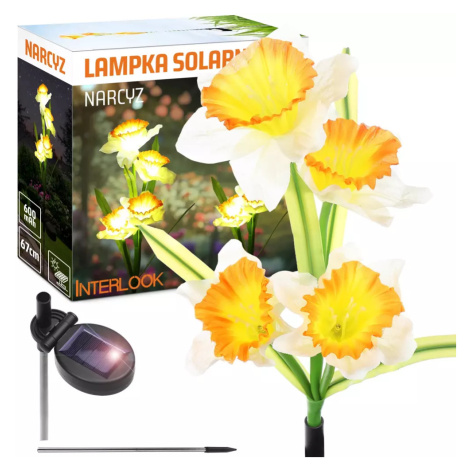 FLD-24 | Solární zahradní lampa Narcissus Daffodil | 67 cm, 600 mAh Interlook