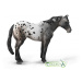 Collecta appaloosa blue grošák