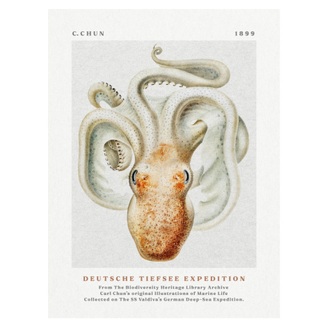 Obrazová reprodukce Deutsche Tiefsee Expedition Poster No.2 (Vintage Octopus) - Carl Chun, (30 x
