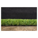 Artificial grass specialists AKCE: 100x300 cm Umělá tráva Rosalia metrážní - Rozměr na míru cm