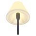 SLV BIG WHITE ADEGAN, venkovní stojací lampa, TC-(D,H,T,Q)SE, IP54, antracit, max. 24 W 228965