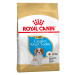 Royal Canin Cavalier King Charles Puppy - Výhodné balení 2 x 1,5 kg