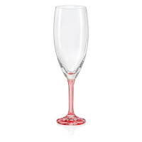 Crystalex sklenice na šampaňské Magnolia 210 ml 6 KS