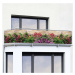Plastová balkonová zástěna 500x85 cm Flowers – Maximex