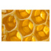 Fotografie Close up honeycomb, Jonathan Knowles, 40 × 26.7 cm