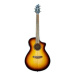 Two Old Hippies BreedloveDiscovery S Concert Edgeburst CE
