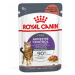 ROYAL CANIN APPETITE CONTROL CARE kapsička v omáčce pro dospělé kočky 48 × 85 g