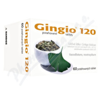 Gingio 120mg tbl.flm.60x120mg