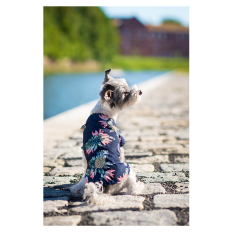 Vsepropejska Zyra plážová košile pro psa Barva: Modrá, Délka zad (cm): 44, Obvod hrudníku: 48 - 