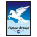 Legion obaly - Pegasus Air