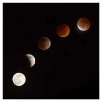 Fotografie Moon at play, Vadim Ianulionoc, (40 x 40 cm)