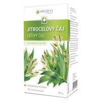 Megafyt Jitrocelový čaj nálevové sáčky 20x1,5 g