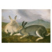 Obrazová reprodukce Arctic Hare, c.1841, John James (after) Audubon, 40 × 26.7 cm