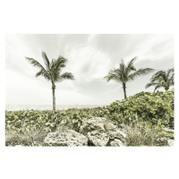 Fotografie Captiva Island | Vintage, Melanie Viola, 40 × 26.7 cm