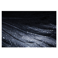 Fotografie Closeup Detail of a Cabbage Leaf With Water Drops, tunart, 40 × 26.7 cm