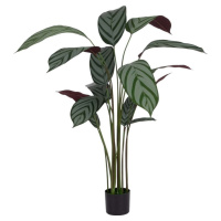 Umělá rostlina (výška 150 cm) Calathea – Ixia