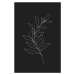Ilustrace blackleaf, MadKat, 26.7x40 cm