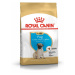 Royal Canin Pug Puppy - granule pro štěňata mopsů 0,5 kg