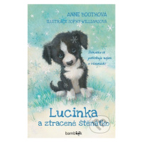 Lucinka a ztracené štěňátko - Anne Booth, Sophy Williams (Ilustrátor) - kniha z kategorie Pro dě