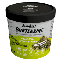 BugBell BugTerrine Adult s hmyzem, špenátem a konopím - 8 x 100 g