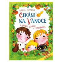 Čekání na Vánoce (s Luckou, Jendou a Martínkem) - Andrea Popprová - kniha z kategorie Beletrie p