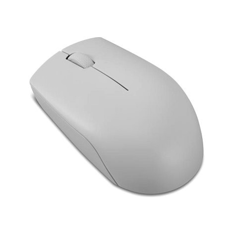 Lenovo 300 Wireless Compact Mouse (Arctic Grey)