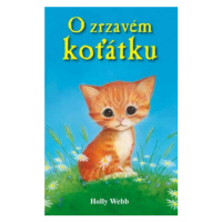 O zrzavém koťátku - Holly Webb