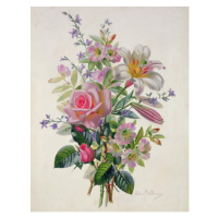 Obrazová reprodukce AB/211 A Pink Bouquet, Williams, Albert, 30 × 40 cm