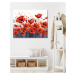 Obrazy na stěnu - Vášnivé květy vlčích máků Rozměr: 40x50 cm, Rámování: vypnuté plátno na rám