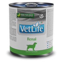 Farmina Vet Life Dog Renal 6 × 300 g