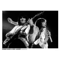Plakát, Obraz - Mick Jagger and Ronnie Wood - Earls Court May 1976, (84.1 x 59.4 cm)