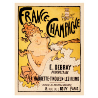 Obrazová reprodukce France Champagne, Pierre Bonnard, 30 × 40 cm