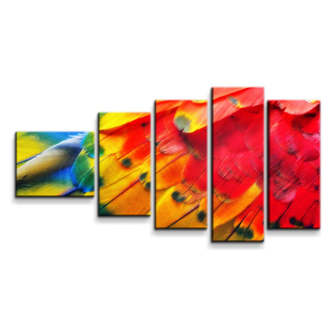 Obraz - 5-dílný Barevné peří 2 - 100x60 cm