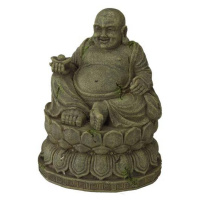 Ebi AQUA DELLA BUDDHA MEDIUM ca.9,5x9,5x12,5cm