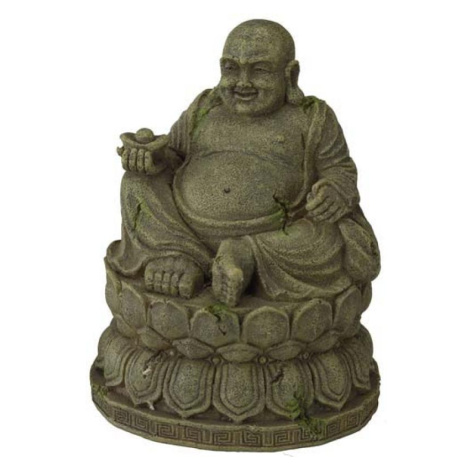 Ebi AQUA DELLA BUDDHA MEDIUM ca.9,5x9,5x12,5cm